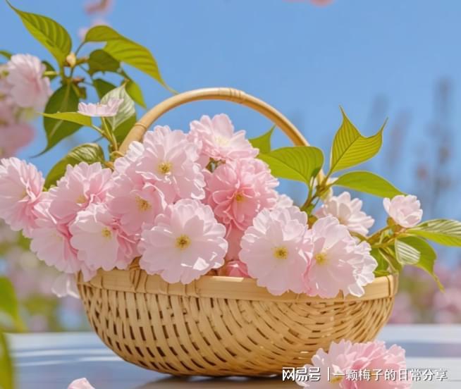 有早点发现这十款！简直太好用了！OG网站护手霜哪个牌子好？后悔没(图6)