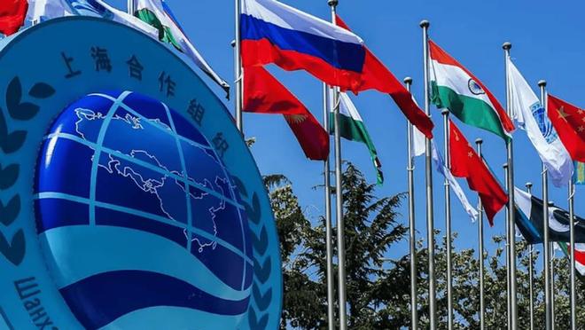 度得到真正的实惠莫迪发文感谢中国OG真人全员赞成天津宣言通过印(图7)